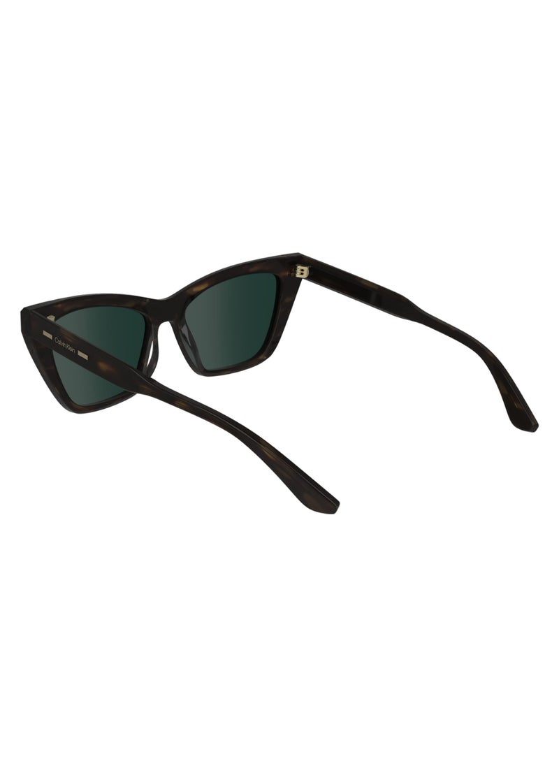 CALVIN KLEIN FULL RIM ACETATE BUTTERFLY CALVIN KLEIN SUN CK24505S  5517 (220) HAVANA BROWN  - Image 5