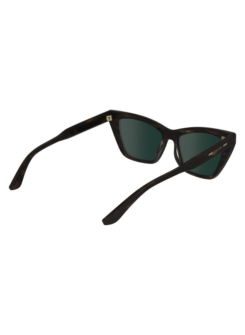 FULL RIM ACETATE BUTTERFLY CALVIN KLEIN SUN CK24505S  5517 (220) HAVANA BROWN