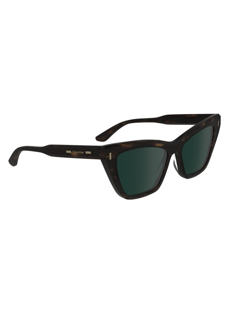 CALVIN KLEIN FULL RIM ACETATE BUTTERFLY CALVIN KLEIN SUN CK24505S  5517 (220) HAVANA BROWN  - Image 3