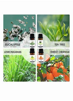 Mi VAZA 8-Piece Essential Oil Set Clear 10ml  - Image 3