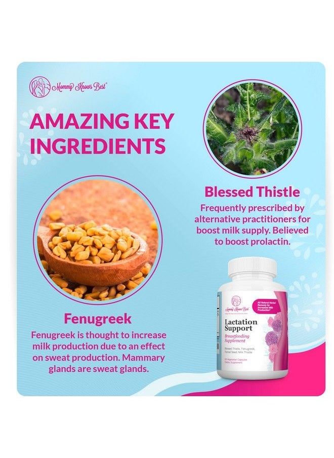 Mommy Knows Best - Lactation Support Lactation Supplement For Breastfeeding Increase Milk Supply Fenugreek Capsules Blessed Thistle Fenugreek Seed Fennel And Milk Thistle Breastfeeding Supplements (120Ct) - Image 1