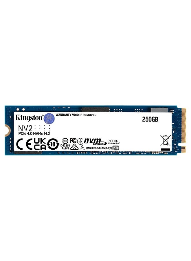 Kingston 250GB NV2 M.2 2280 PCIe 4.0 x4 NVMe SSD - Image 1
