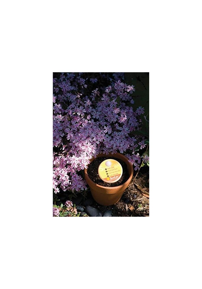 Luster Leaf Rapitest SunCalc Precision Sunlight Measuring Device - Image 3