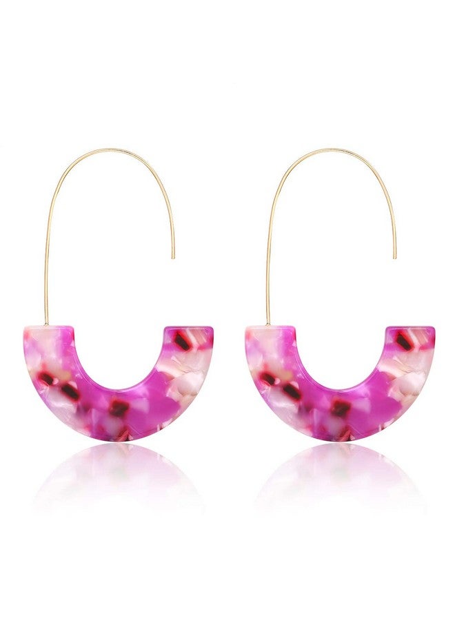 MOLOCH Acrylic Earrings Statement Tortoise Hoop Earrings Resin Wire Drop Dangle Earrings Fashion Jewelry For Women (Pink) - Image 1