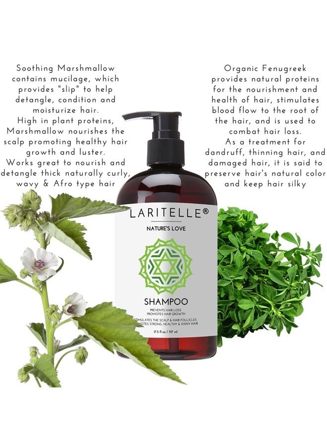 Laritelle Organic Shampoo 17.5 oz | Organic Quinoa + Keratin + Follicle Stimulating Rosemary, Ginger & Grapefruit | Hair Loss Prevention, Clarifying, Softening, Strengthening | NO GMO. Vegan - Image 4