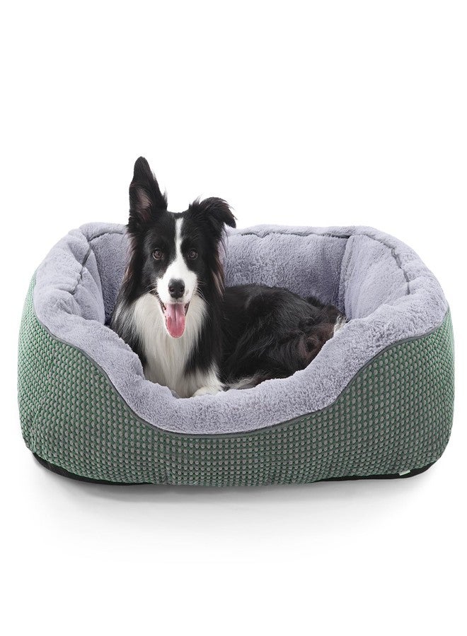 INVENHO Dog Bed Medium Size, Orthopedic Warming Soft Calming Sleeping Durable with Anti-Slip Bottom - Image 1