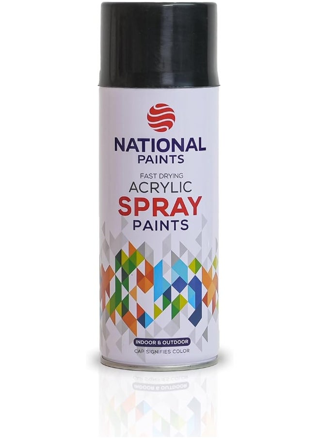 NATIONAL PAINTS National Paints Fast Drying Acrylic Spray Paint - Black Gloss 201  - Image 1