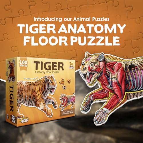 Genius Games Tiger Animal Anatomy Floor Puzzle  100Piece Double Sided Jigsaw Puzzle  LargeSized Over 3 Feet Scientifically Accurate Illustration  Fun and Educational Toy for Kids Toddlers and Families - Image 5