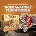 Genius Games Tiger Animal Anatomy Floor Puzzle  100Piece Double Sided Jigsaw Puzzle  LargeSized Over 3 Feet Scientifically Accurate Illustration  Fun and Educational Toy for Kids Toddlers and Families - Image 4