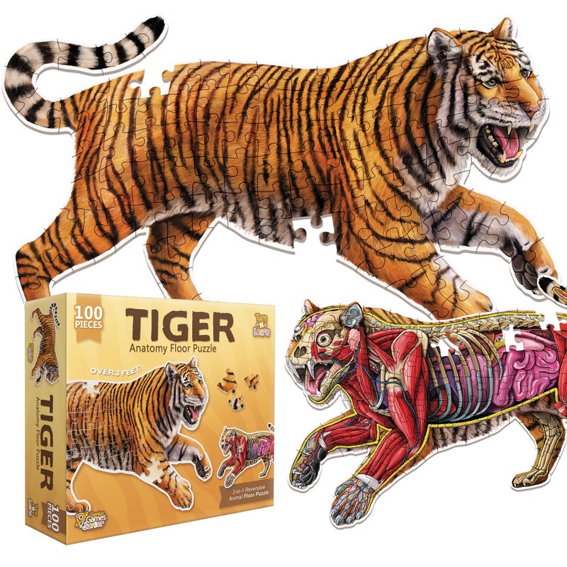 Genius Games Tiger Animal Anatomy Floor Puzzle  100Piece Double Sided Jigsaw Puzzle  LargeSized Over 3 Feet Scientifically Accurate Illustration  Fun and Educational Toy for Kids Toddlers and Families - Image 3