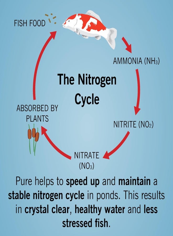 إيفولوشن أكوا بيور بوند 500 مل - Image 5