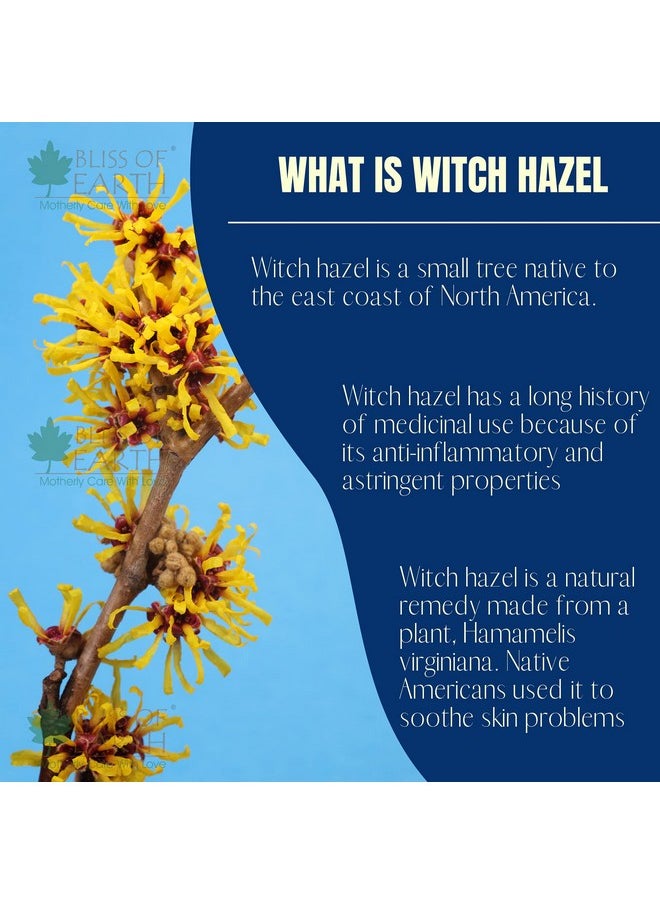 BLISS OF EARTH - Witch Hazel Toner For Face, Acne & Oily Skin, Natural Pore Minimizer, Alcohol Free Facial Astringent, 100Ml - Image 1