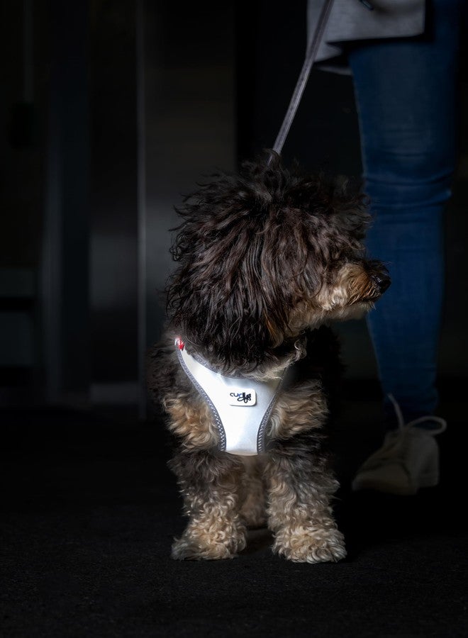 Curli Glow curli Clasp Vest Harness Reflective Gray M - Image 5