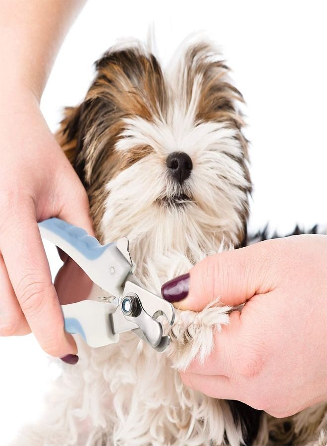 مقص أظافر الكلاب AL THEQA مع واقي أمان مقص أظافر الحيوانات الأليفة ومقص مخالب للحيوانات الأليفة في مستلزمات العناية بالحيوانات الأليفة ومقصات، مع واقي أمان - Image 2