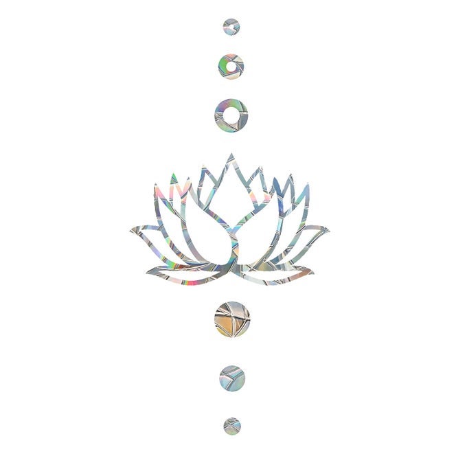 LOTUS ANTICOLLISION WINDOW CLINGS FOR BIRD STRIKES GLASS REMINDER PRISM RAINBOW DECALS DECORATE YOUR WINDOWS GLASS DOORS 4 PACKS JDLH43