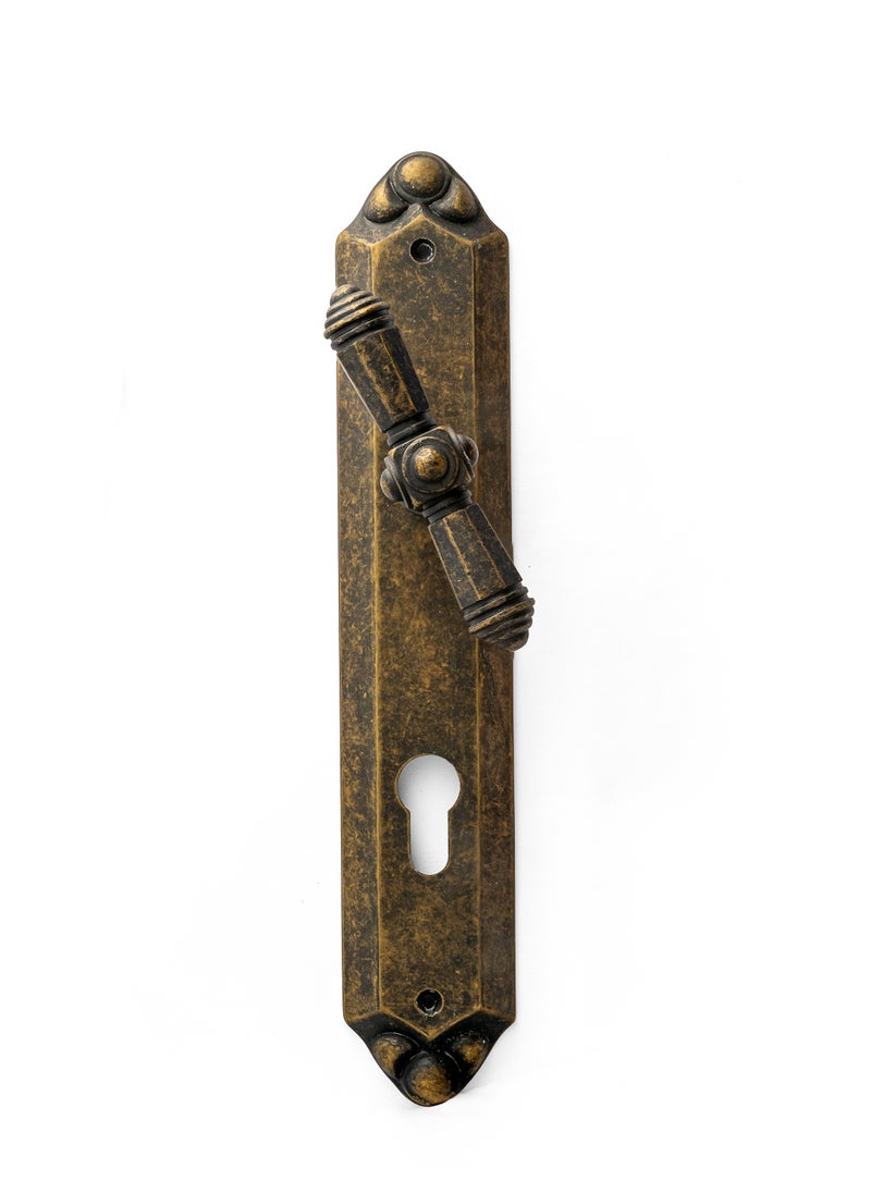 Siag 1/2 Cylinder Door Handle 