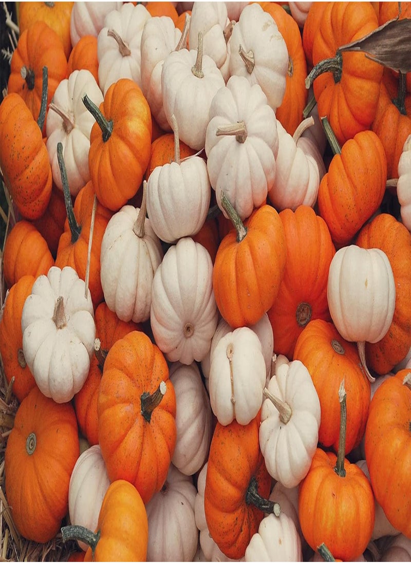 GGOOT - Mini Mix Pumpkin Seeds - 30+ Count Packet - for 2024 White Orange Mix Baby Boo, Jack- Be-Little, Wee-B-Little Untreated Squash - Image 1