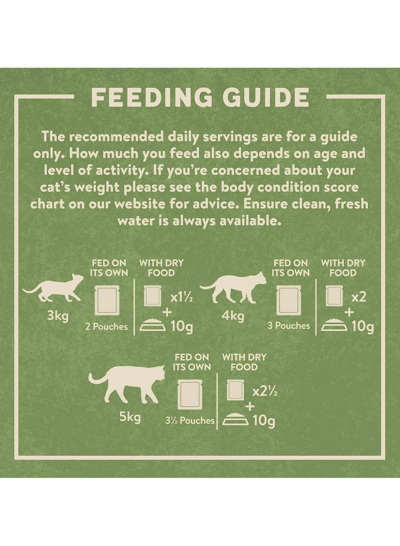 HARRINGTONS Complete Wet Pouch Grain Free Hypoallergenic Adult Cat Food Fish in Jelly Pack 72x85g - Cod, Mackerel, Salmon & Tuna - Making Mealtimes Meatier - Image 4