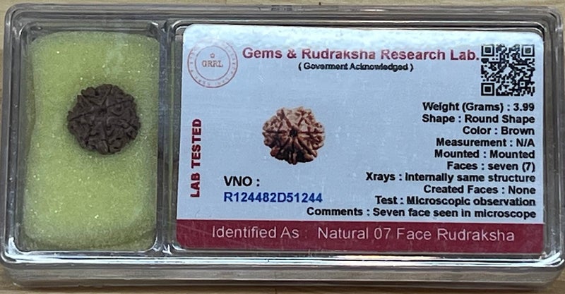 AWAKEN YOUR KUNDALINI خرز رودراکشا 7 موخي المعزز لعلامة الشمس العالمية و شاكرا الجذر