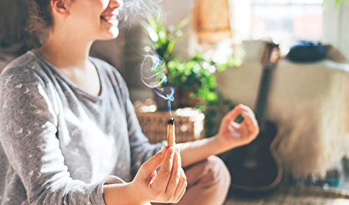 Alternative Imagination Palo Santo Sticks - Incense Sticks for Spiritual Cleansing, Stress Relief, Meditation Accessories, Home Fragrance - Sustainably Wild Harvested - Pack of 20 - Alternative Imagination - Image 3