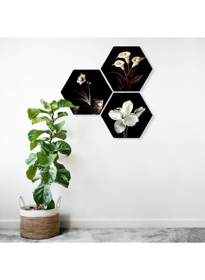 Masstone Floral Wall Art | Modern Art Wall Painting Set of 3 (21.5x21.5 Inch) | Art Frames for Wall Decoration | 3 Hexagon Wall Decor Painting | Wall Hangings Painting | Wall Art Painting - Image 3