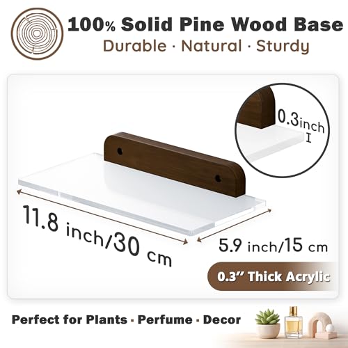 QsQueen Small Acrylic Floating Shelf for Wall, Clear Acrylic Wall Shelf with Solid Wood Base, Thick Minimalist Display Shelf for Bathroom, Bedroom,Plants, Perfume, Nail Polish,Living Room & Decor - Image 3