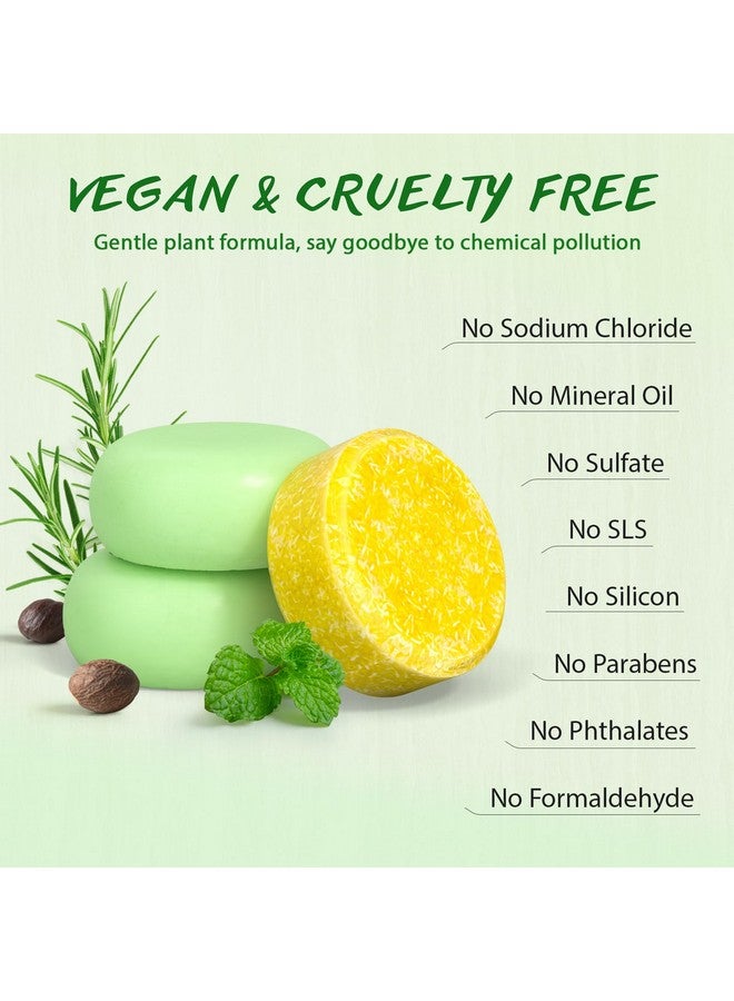 بوب مودرن.سي مجموعة شامبو وبلسم روزماري الصلبة لنمو الشعر، للشعر المستقيم والمجعد والجاف والدهني، مرطب ومنظف بدون نفايات، 2 × 80 جرام، صابونتان، حامل خشبي، هدية عيد الأم - Image 4