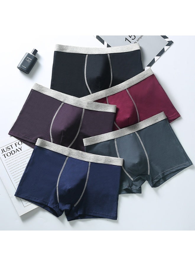 KUYING New Comfortable Skin friendly Breathable Underwear Set of 5  - Image 1