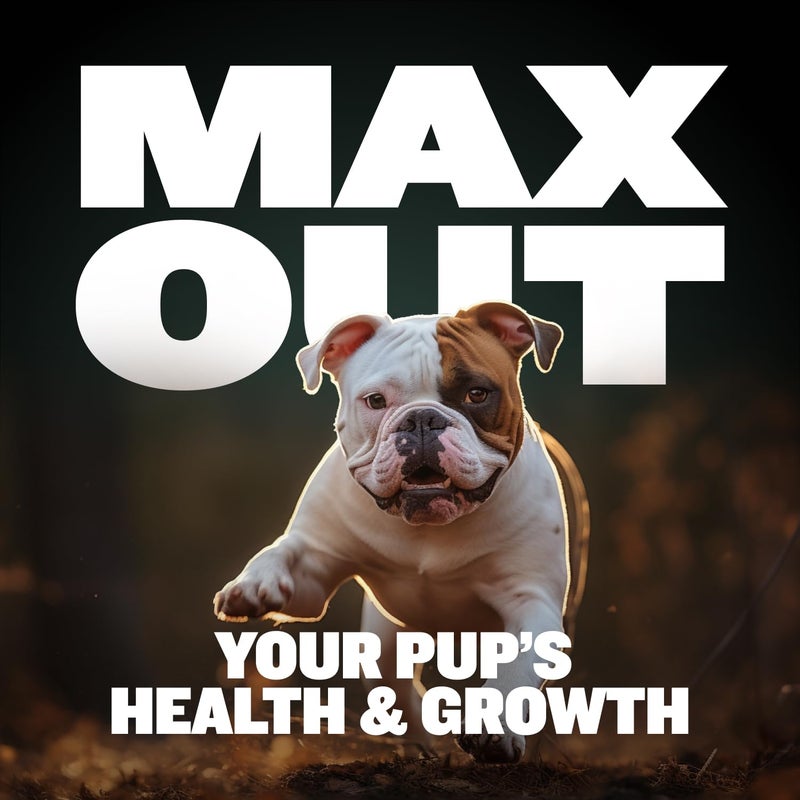 Bully Max 2-in-1 Puppy Treats Soft Chews for Immunity & Growth - Dog Vitamins & Supplements - Essential Multivitamin Food Topper for Health & Immune Support - Small, Medium & Large Breed Puppies - Image 4