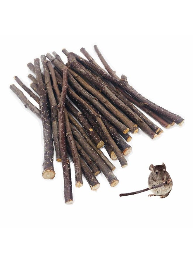 William Craft Apple Sticks Pet Chew Toy Treats for Chinchilla Guinea Pigs Rabbits Squirrel Hamster Bunny - Image 1