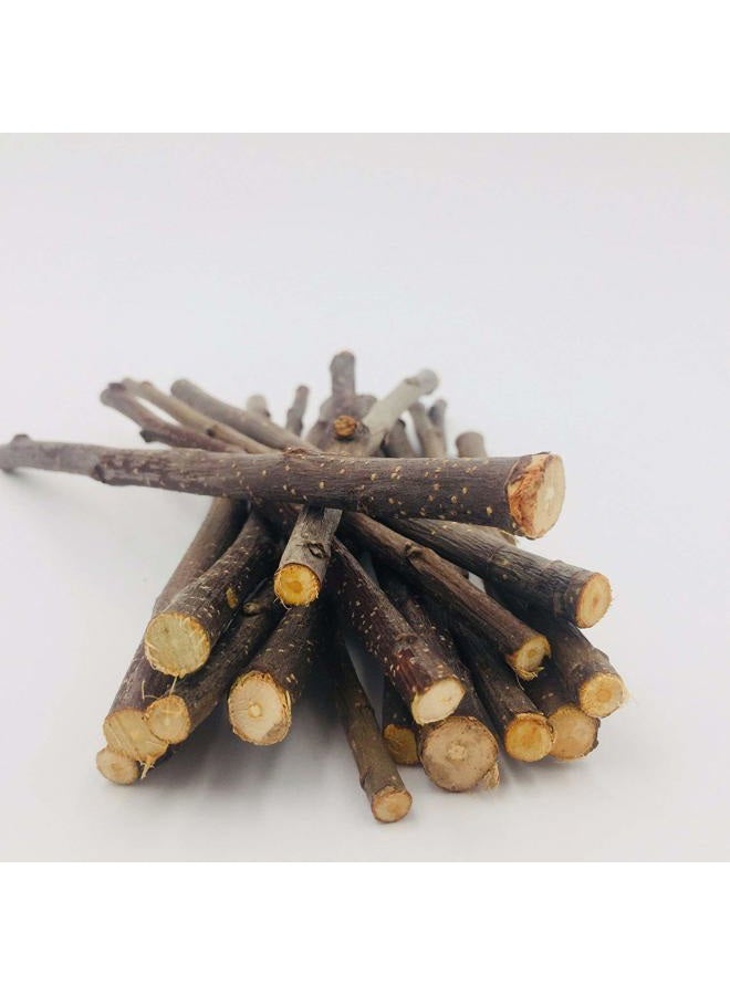 William Craft Apple Sticks Pet Chew Toy Treats for Chinchilla Guinea Pigs Rabbits Squirrel Hamster Bunny - Image 2