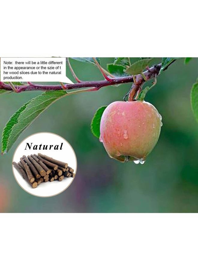 William Craft Apple Sticks Pet Chew Toy Treats for Chinchilla Guinea Pigs Rabbits Squirrel Hamster Bunny - Image 4