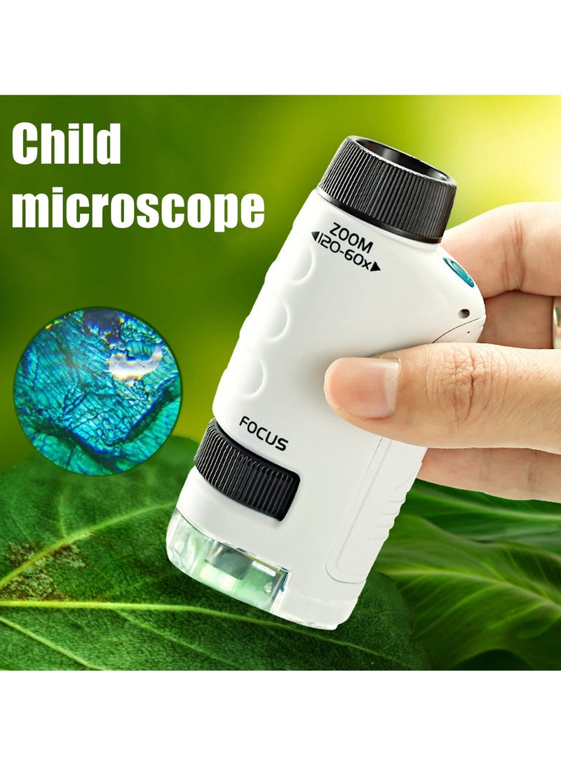 Pocket Microscope for Kids, Portable Handheld Microscope 60X-120X Zoom with LED Light, Science Exploration Toy for Plants Microbiology Observation, Educational STEM Kit for Students  - Image 2
