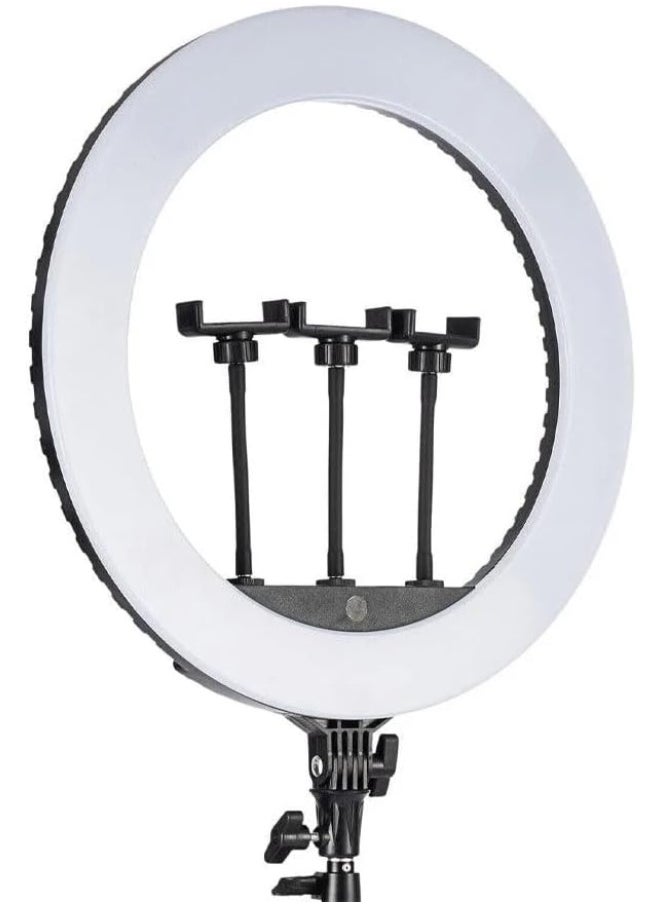 ماركة غير محددة حلقة إضاءة LED موديل MF-22 – إضاءة ناعمة وآمنة للعين مع دوران 360 درجة – مثالية للبث المباشر، التصوير والمكياج  - Image 3