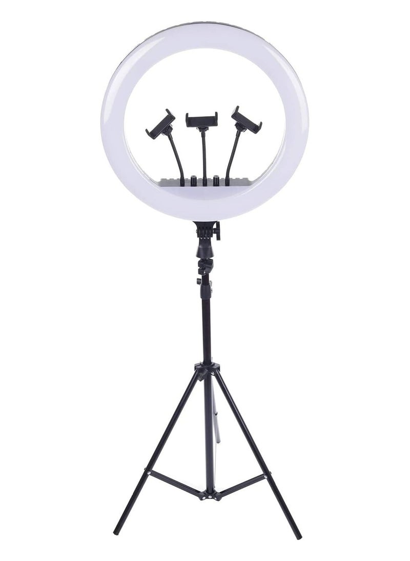 ماركة غير محددة حلقة إضاءة LED موديل MF-22 – إضاءة ناعمة وآمنة للعين مع دوران 360 درجة – مثالية للبث المباشر، التصوير والمكياج  - Image 1
