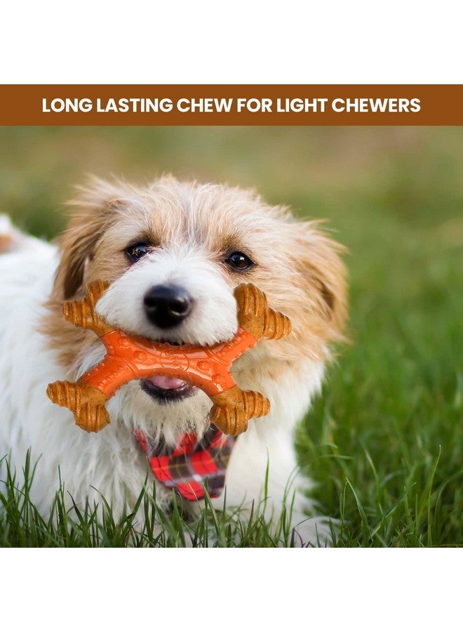 سبوت عظمة الأسنان بام بونز إكس بون - مصنوعة من ألياف الخيزران ومركز مطاطي للتدليك، مضغ متين للعناية بالفم للكلاب التي تمضغ بشكل خفيف والجراء التي تنمو أسنانها أقل من 25 رطلاً، 6 بوصات خالية من المواد المسببة للحساسية بنكهة زبدة الفول السوداني - Image 4