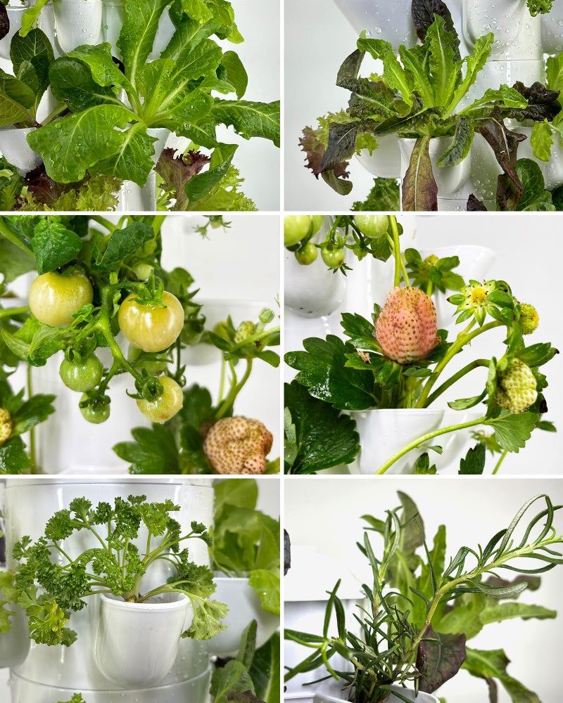DPROOTS Hydroponic Tower Growing Systemï¼Œ45 Pods Vertical Gardenï¼ŒSuitable for Indoor and Greenhouse, Grow Herbs and Vegetablesï¼ŒHouseplant Farming with Water Circulation and Automatic Timer - Image 4