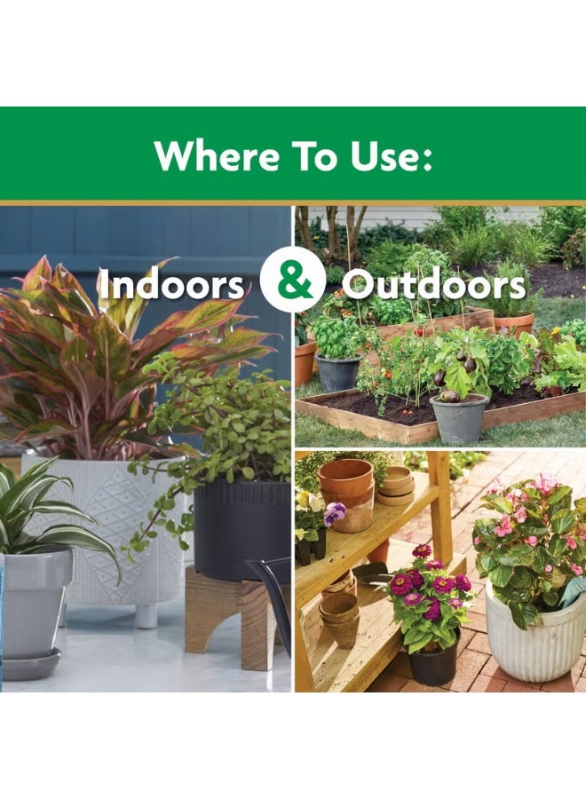 Miracle-Gro Water Soluble All Purpose Plant Food, Fertilizer for Indoor or Outdoor Flowers, Vegetables or Trees, 3 lbs. - Image 5