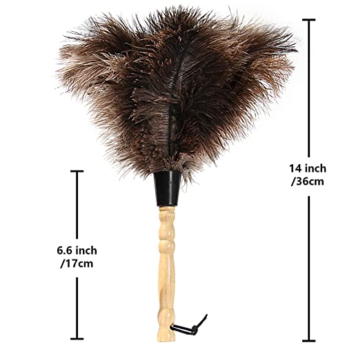 iHUFeather Ostrich Feather Duster 14 inch Feather Duster Fluffy Natural Genuine Ostrich Feathers with Wooden Handle and Eco-Friendly Reusable Handheld Ostrich Feather Duster for Cleaning Supplies - Image 2