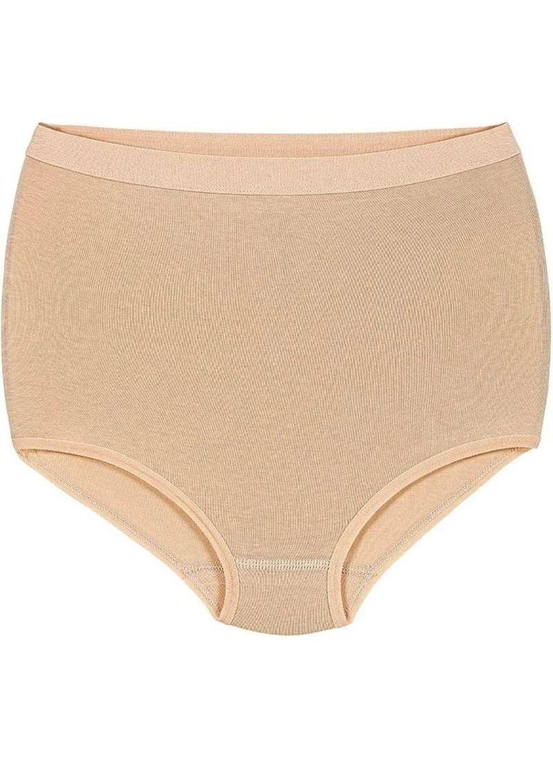 Yıldız Women Modal High Waist Silicone Lycra Recovery Panties 4200 - 12 Pieces