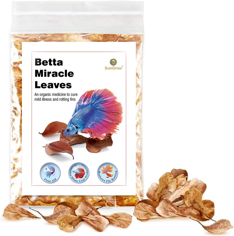 SunGrow 50 pcs Catappa Indian Almond Leaves for Betta Fish Tank Aquarium, 2â€ Water Conditioner Leaves, Leaf Also Suitable for Shrimp, Goldfish, Guppy and Frogs - Image 1