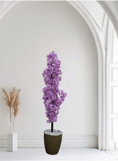 Rabea purple rose tree, 130 cm tall