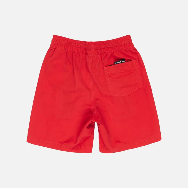 Quiksilver Everyday Vert 13" Swim Short - Kids