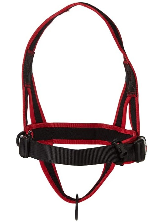 دوكو حزام صدر شبكي Doco Athletica City Walker (DCA207) - اللون: أحمر، المقاسات: L/XL - Image 1