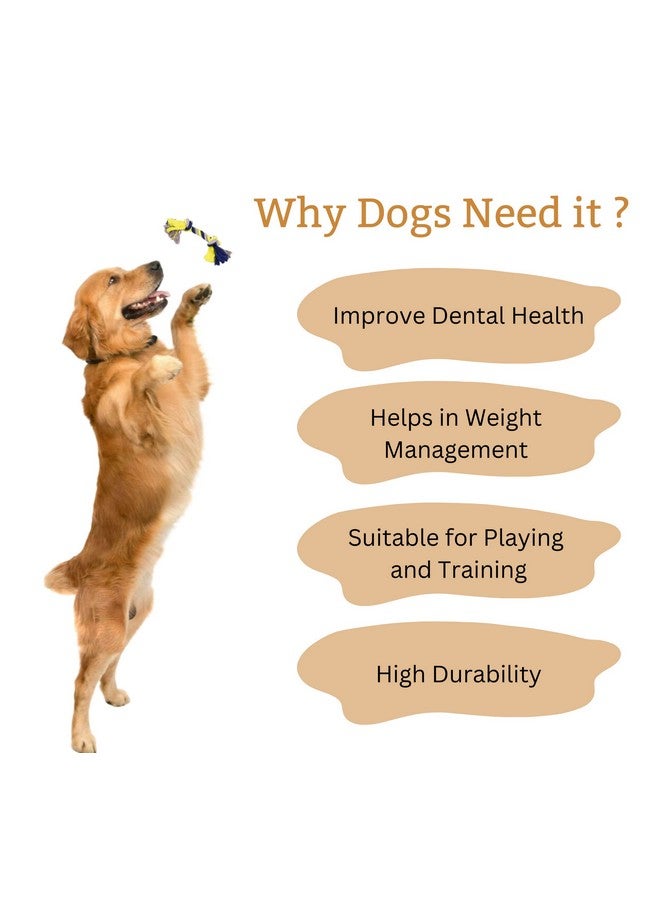 مجموعة من قطعتين من ألعاب المضغ المصنوعة من حبل قطني متين (عصا الجزر والذرة) | للمضغ واللعب والتسنين والتدريب للكلاب الصغيرة والمتوسطة الحجم (قد يختلف اللون) - Image 5