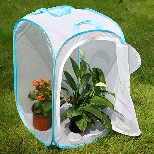 RESTCLOUD 36" Large Monarch Butterfly Habitat, Giant Collapsible Insect Mesh Cage Terrarium Pop-up 24 x 24 x 36 Inches - Image 4