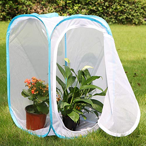 RESTCLOUD 36" Large Monarch Butterfly Habitat, Giant Collapsible Insect Mesh Cage Terrarium Pop-up 24 x 24 x 36 Inches - Image 5