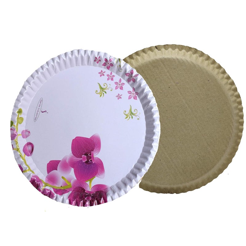 MESH MASTERS MESH MASTERS 100 Biodegradable_Eco Friendly_12 Inch Paper Dinner Plates_Pack of 100_Natural Paper Plates_MMTPPL29 - Image 2