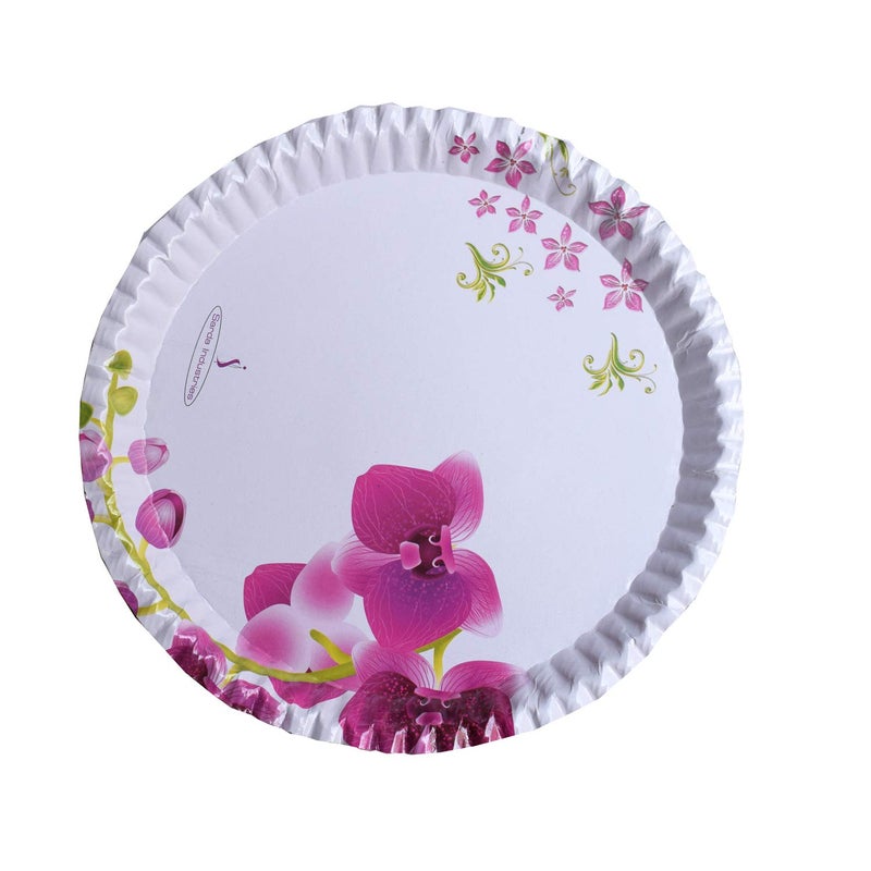 MESH MASTERS MESH MASTERS 100 Biodegradable_Eco Friendly_12 Inch Paper Dinner Plates_Pack of 100_Natural Paper Plates_MMTPPL29 - Image 4