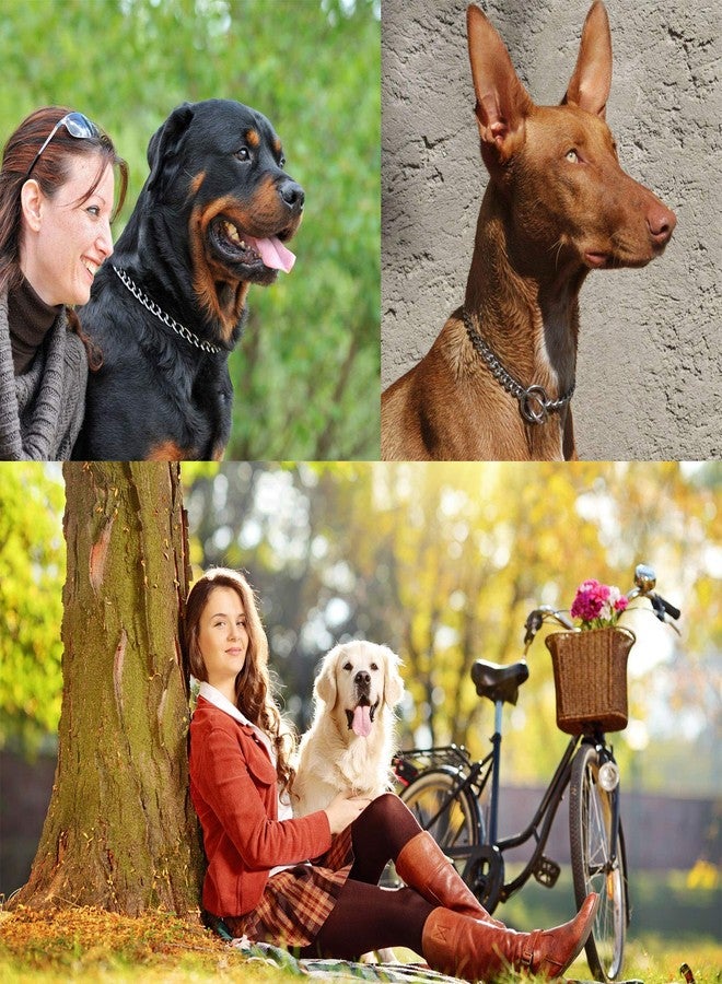 AncBace Dog Collar Metal Chain Stainless Steel Collar Adjustable with Buckle Show Slip Collars Strong for Medium Large Dogs Pet Gift - Image 3